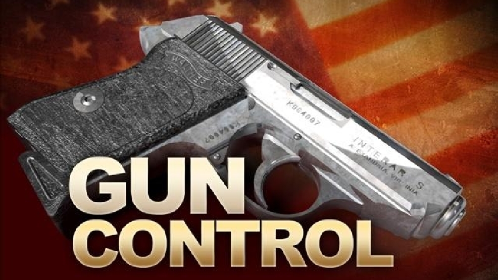 gun%20control.jpg