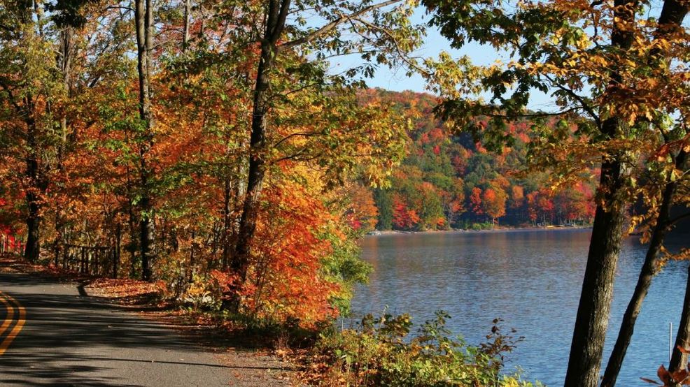 Virginia forestry department 'Peak week' for foliage WJLA