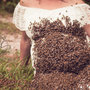 Ohio photographer captures unique maternity shoot with beekeeper