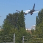 Nearly 3,000 trees around Sea-Tac Airport will be chopped down