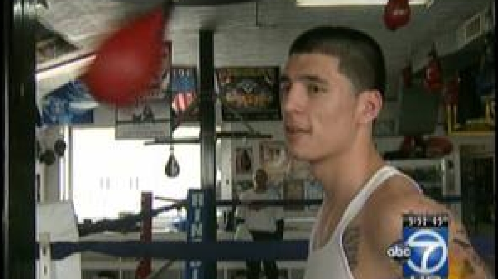 boxer_1_296.jpg