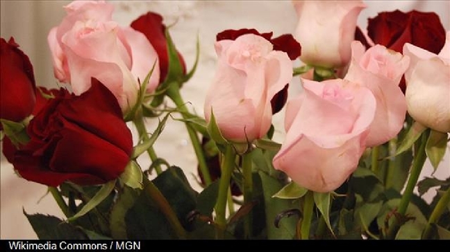 Jeffrey Lewis Berry 59, of Green City Mo, A Simplified Funeral Solution 