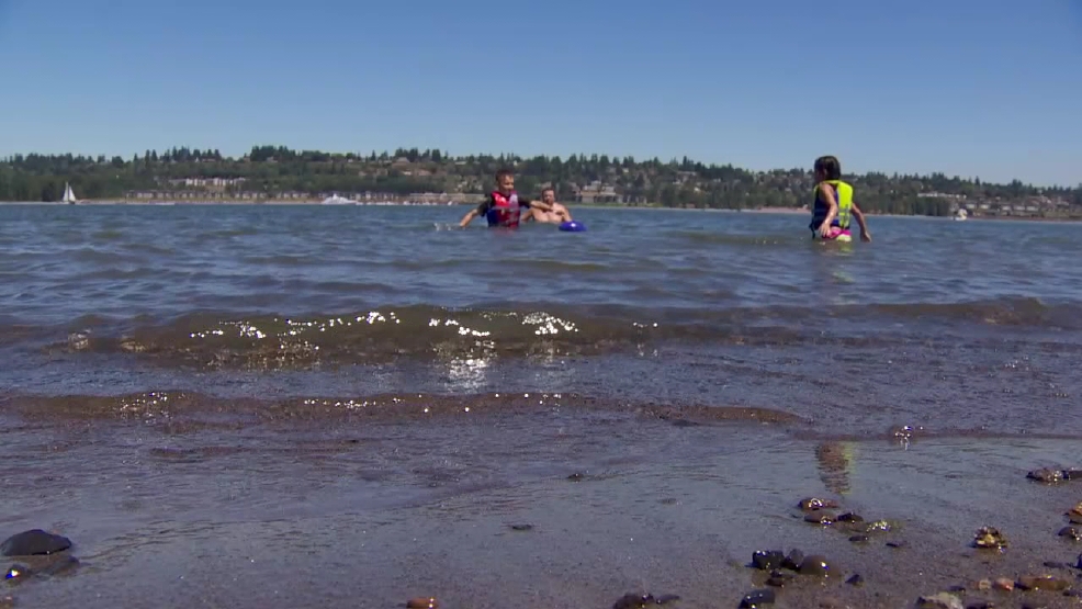 The importance of life jackets in the water KATU