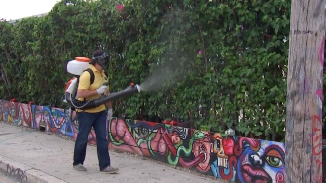 Zika-spreading mosquito puts up tough fight