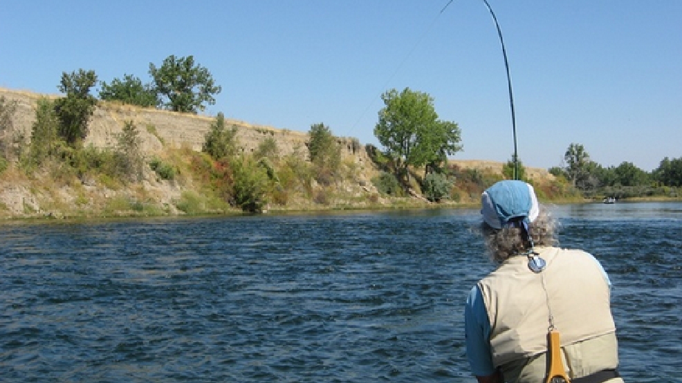 Biologists restore Utah cutthroat trout population KUTV