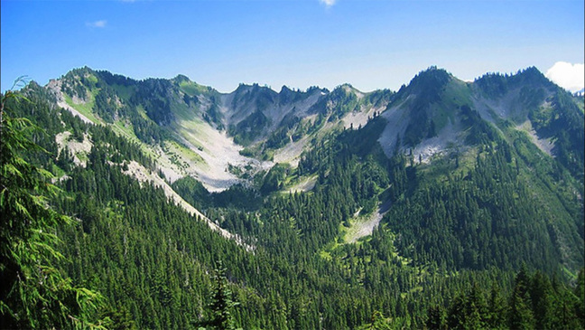 National Park Foundation program gives free entry to fourth-graders (& their families)