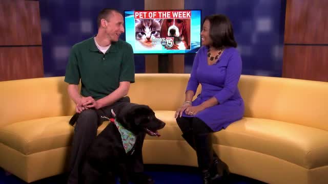 Pet of the Week: Chloe