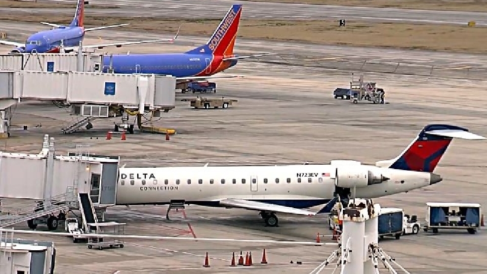4565078_G.jpg