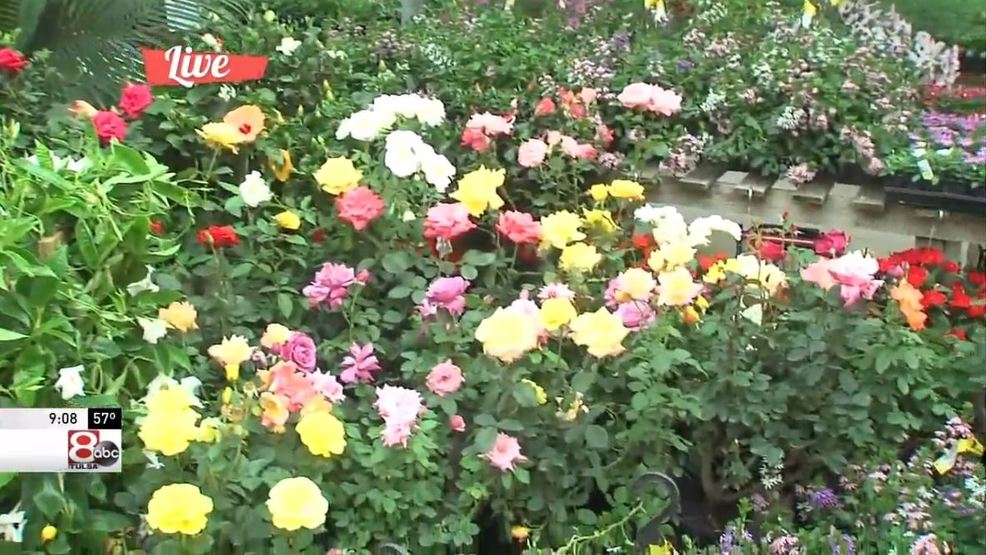 Riddle Plant Farm KTUL