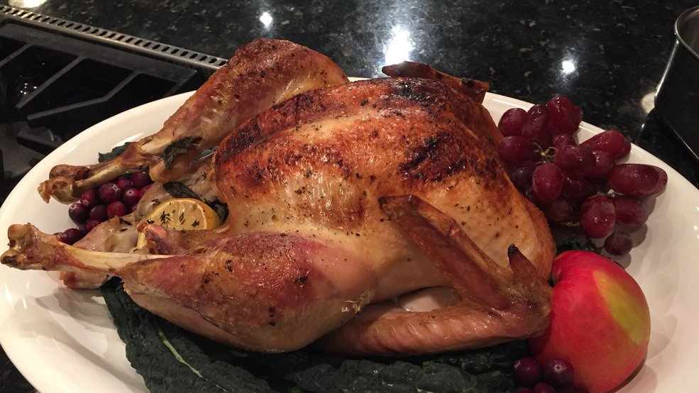 Thanksgiving turkey 1.jpg Thanksgiving turkey 1.jpg