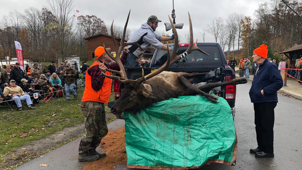 2018 Pa. elk hunt kicks off in Benezette WJAC