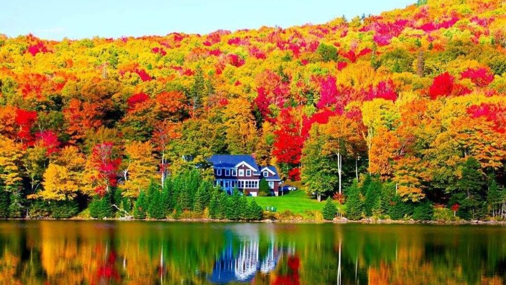 'Spectacular' autumn foliage is forecast for New England | WGME