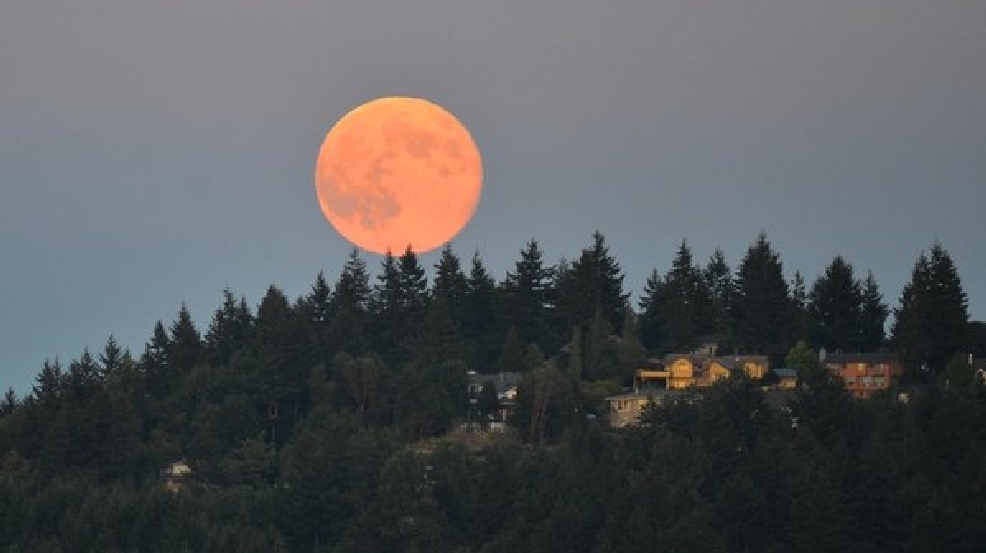 130723eyegoo-moonrise660.jpg