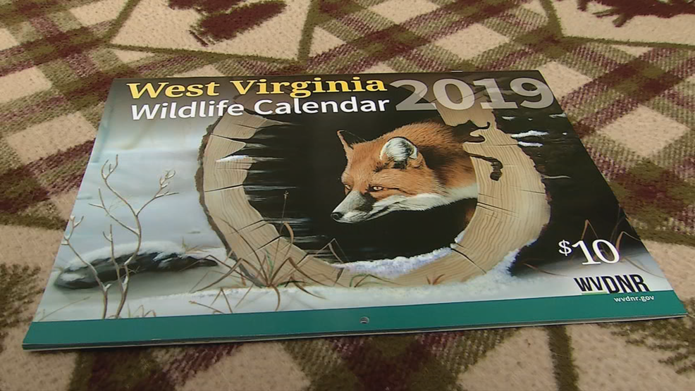 elk-featured-on-west-virginia-wildlife-calendar-rocky-mountain-elk