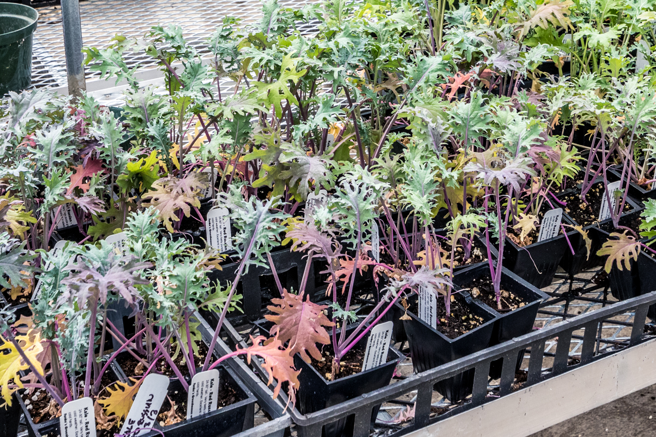 10 Awesome Garden Centers That Are Ready to Help Your Yard Flourish