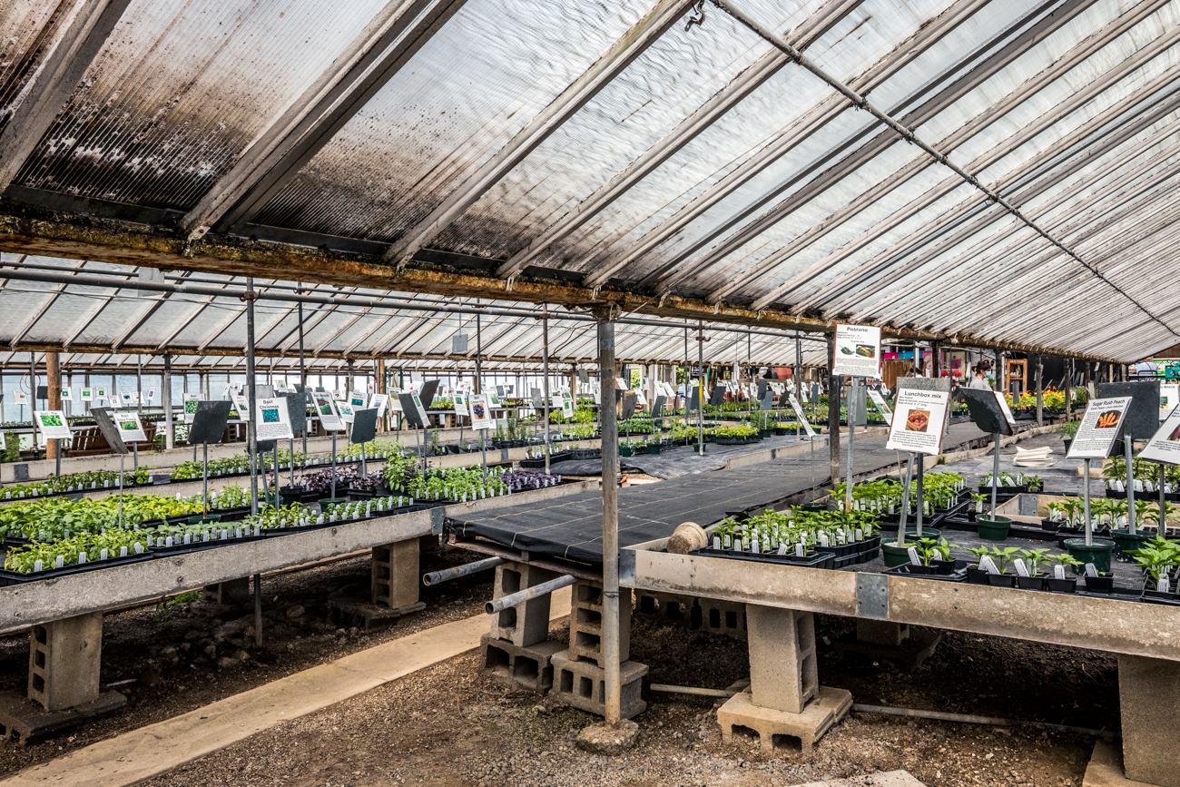 10 Awesome Garden Centers That Are Ready to Help Your Yard Flourish