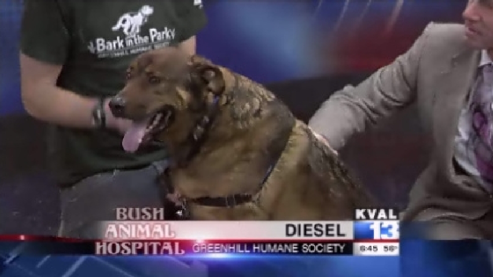 pet_diesel.jpg