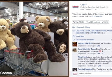 53 inch plush teddy bear costco price