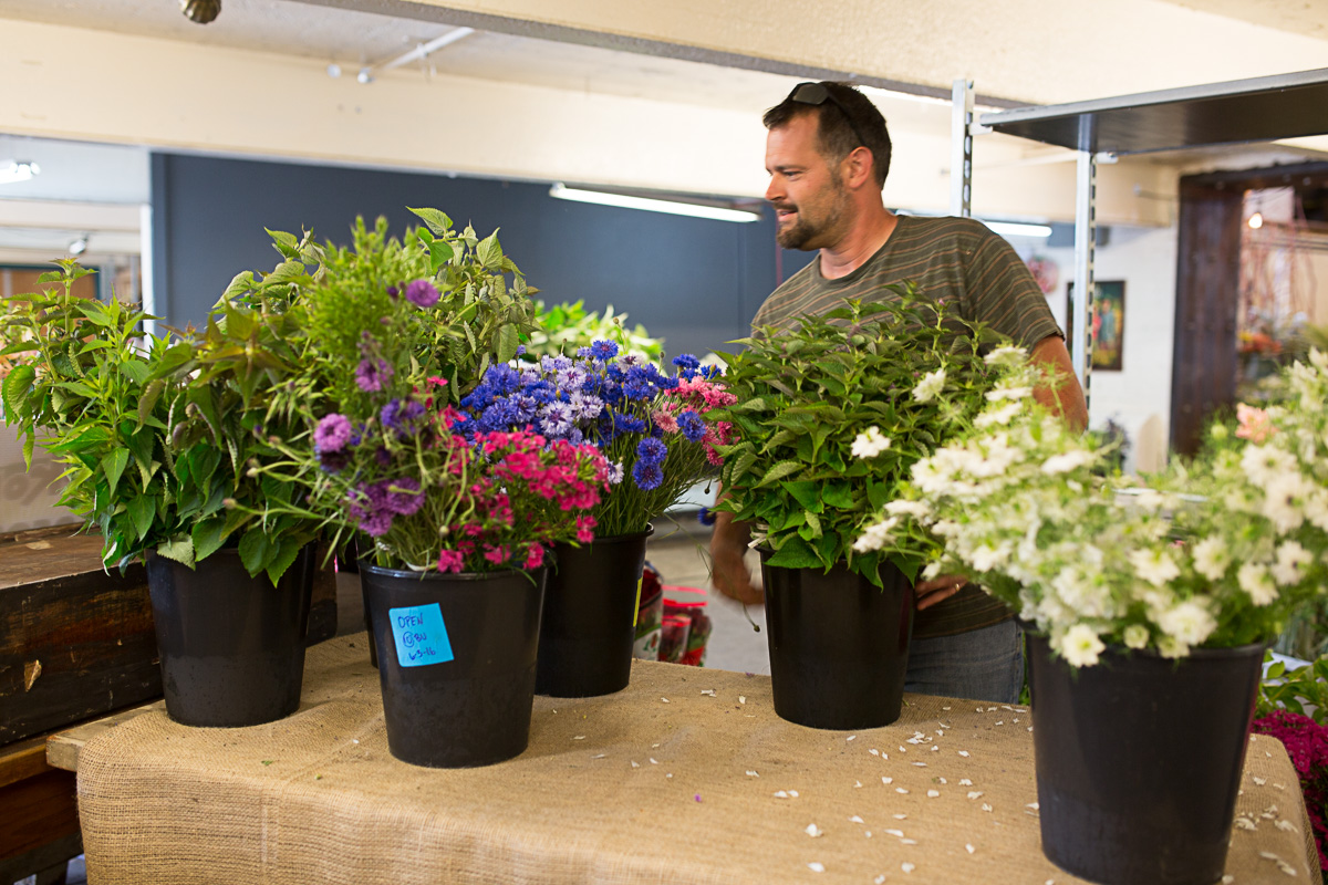 Seattle's glorious fieldtovase flower market Seattle Refined